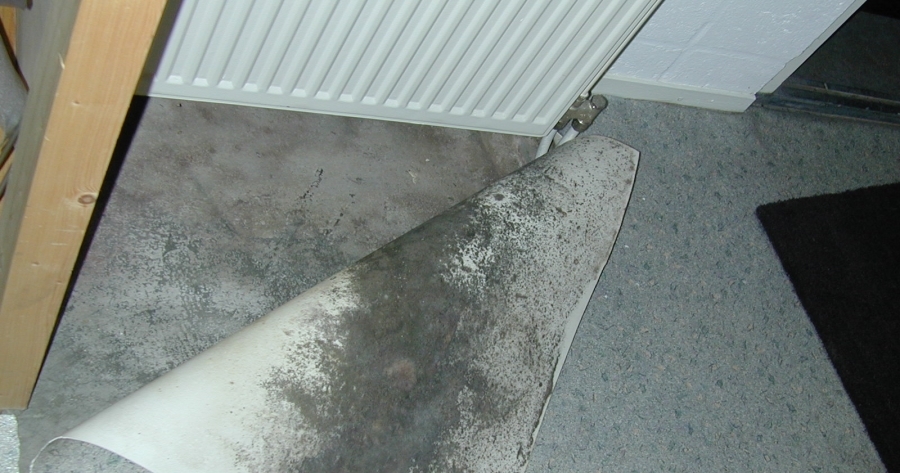 schimmel an möbeln schimmel im haus schimmel hinter m bel schimmel schimmel in der k che Schimmel Hinter Küche Entfernen ~ schimmel an möbeln schimmel im haus schimmel hinter m bel schimmel schimmel in der k che